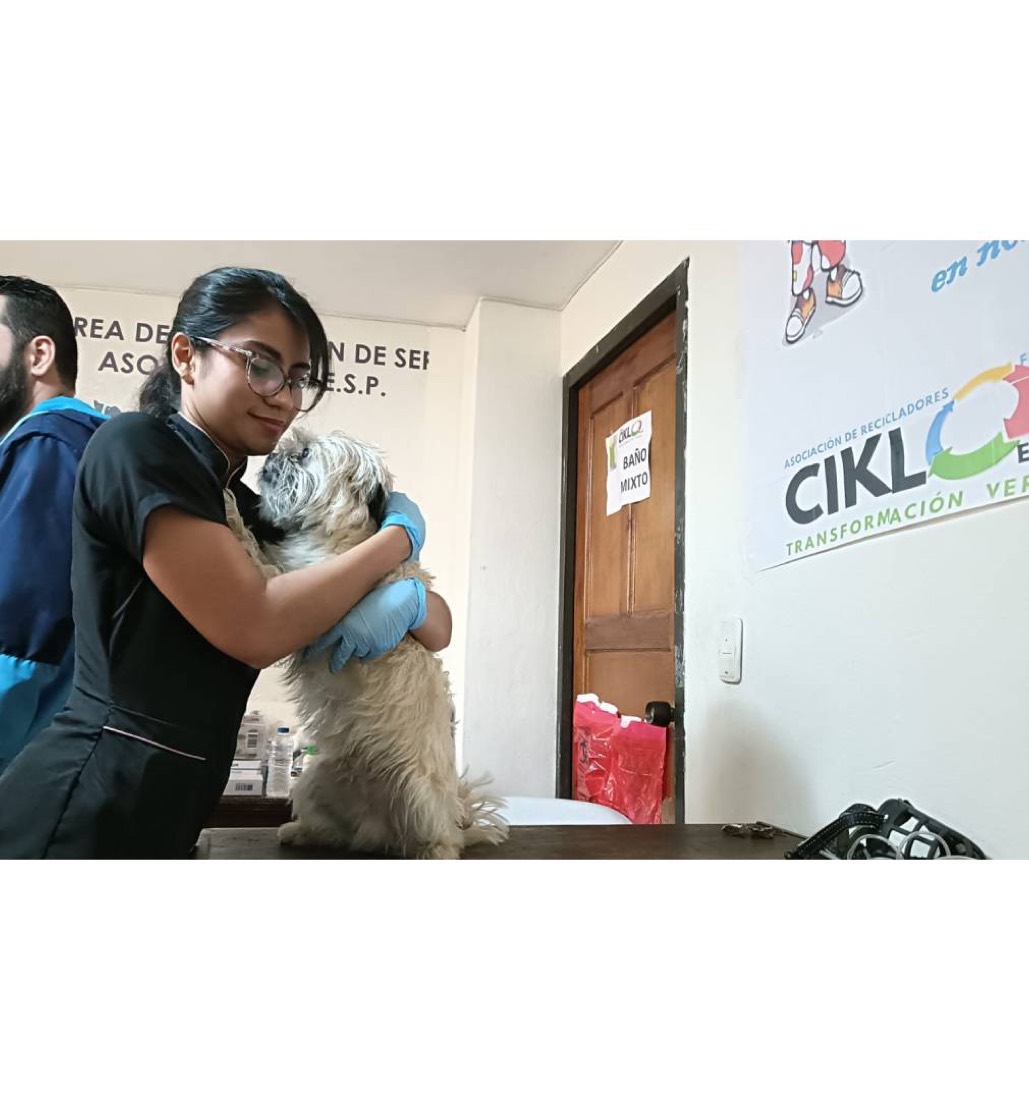Familia Ciklo ESP — galería, imagen 6